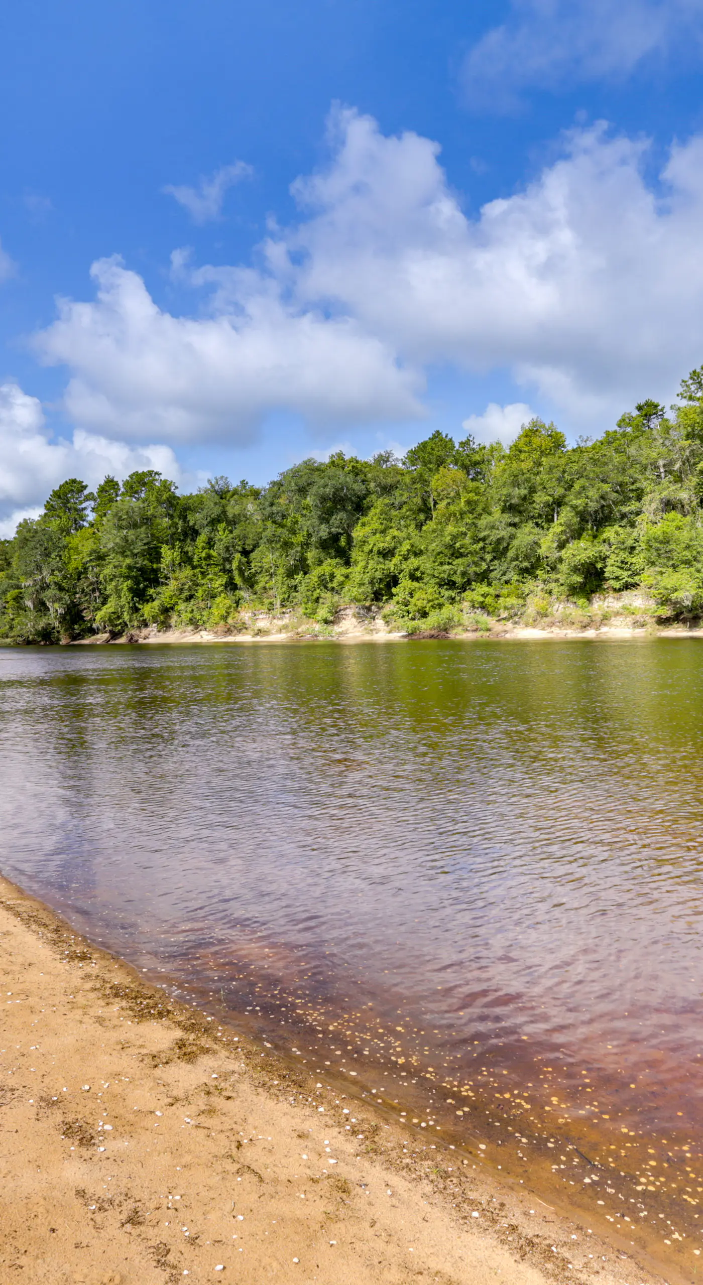 Riverfront Florida Escape w/ Grill & Fire Pit!