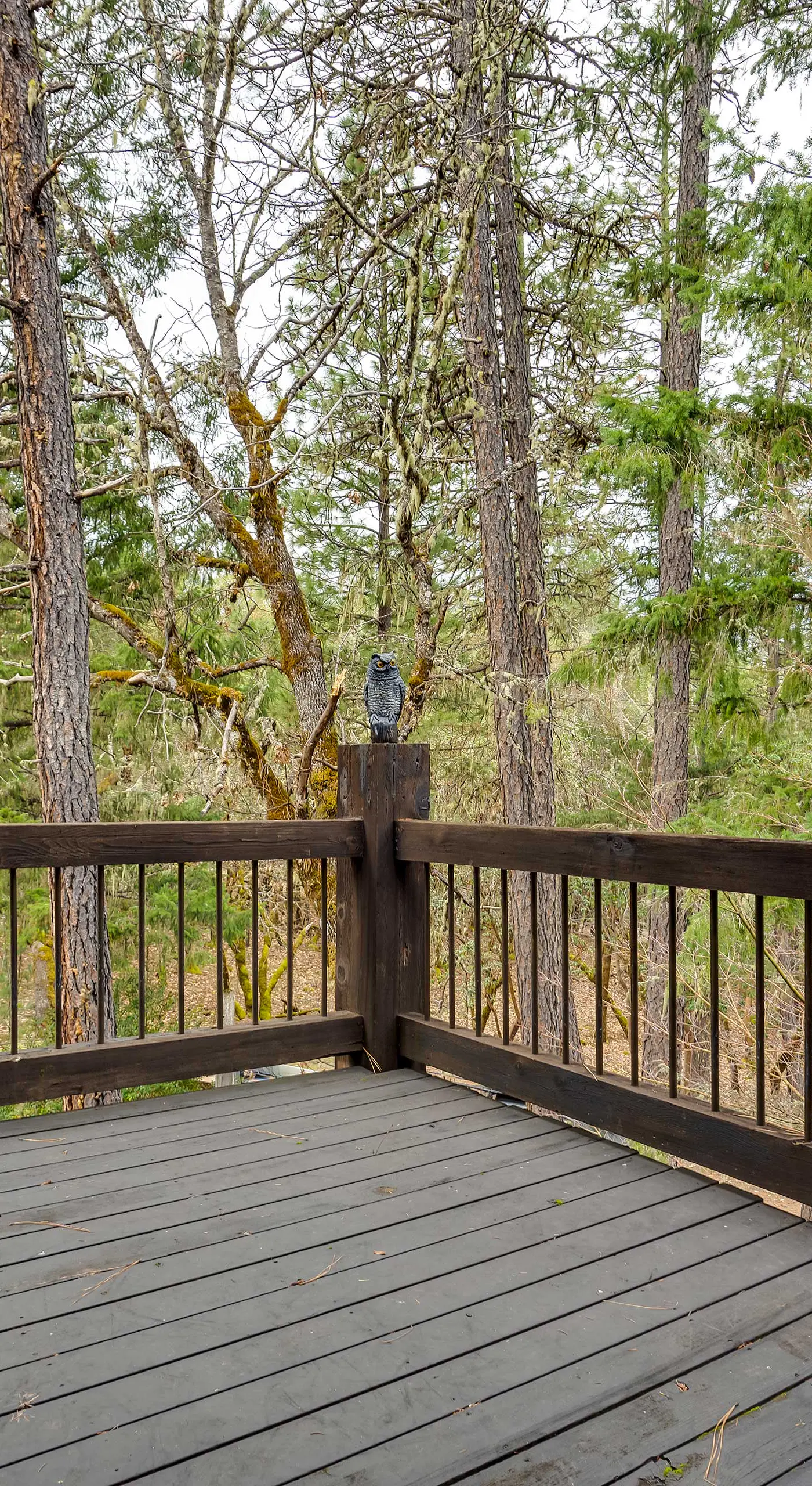 Peaceful Applegate River Valley Sanctuary!