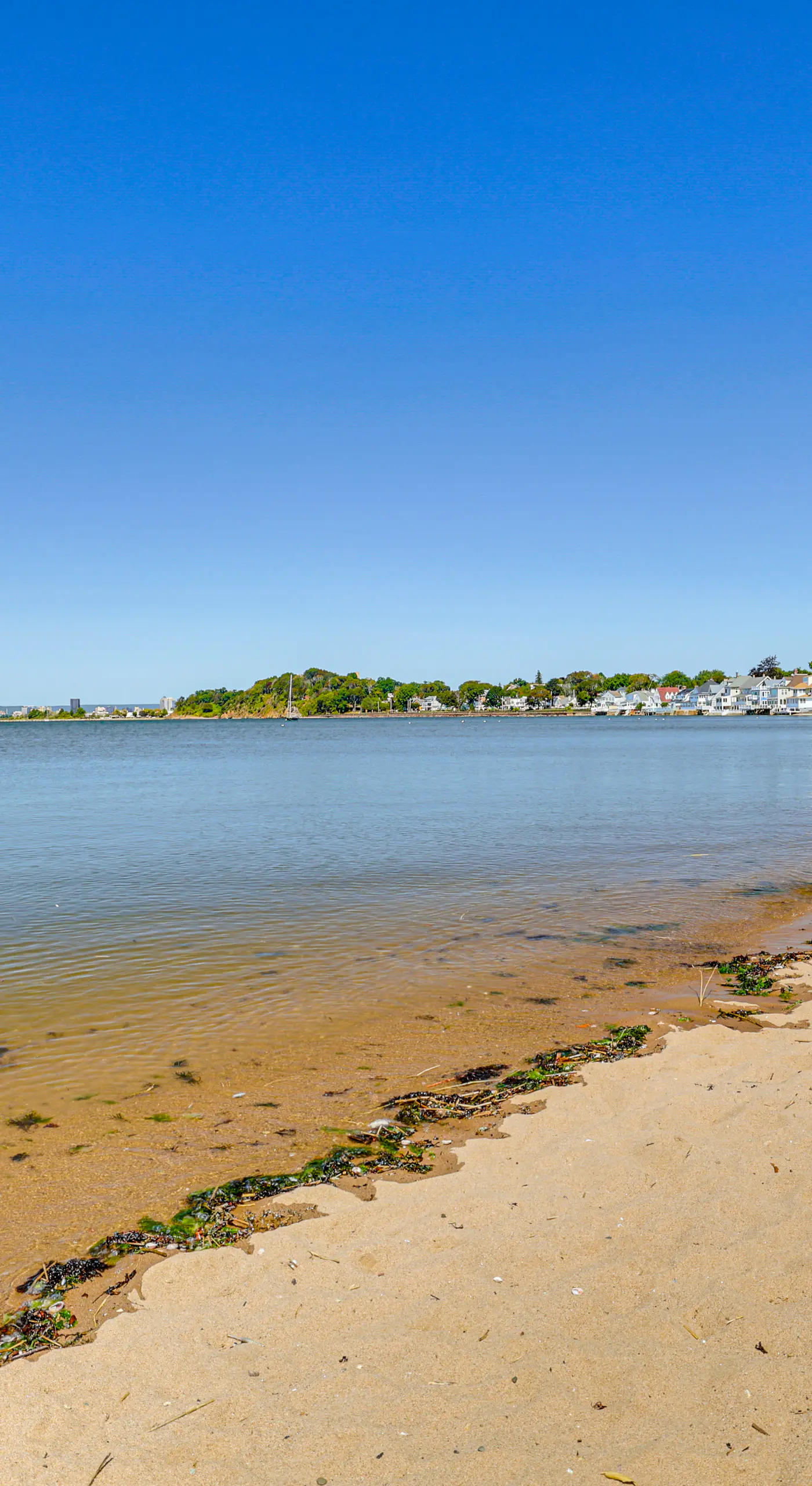 Near Yale & Lighthouse Point Beach: Home w/ Pool!