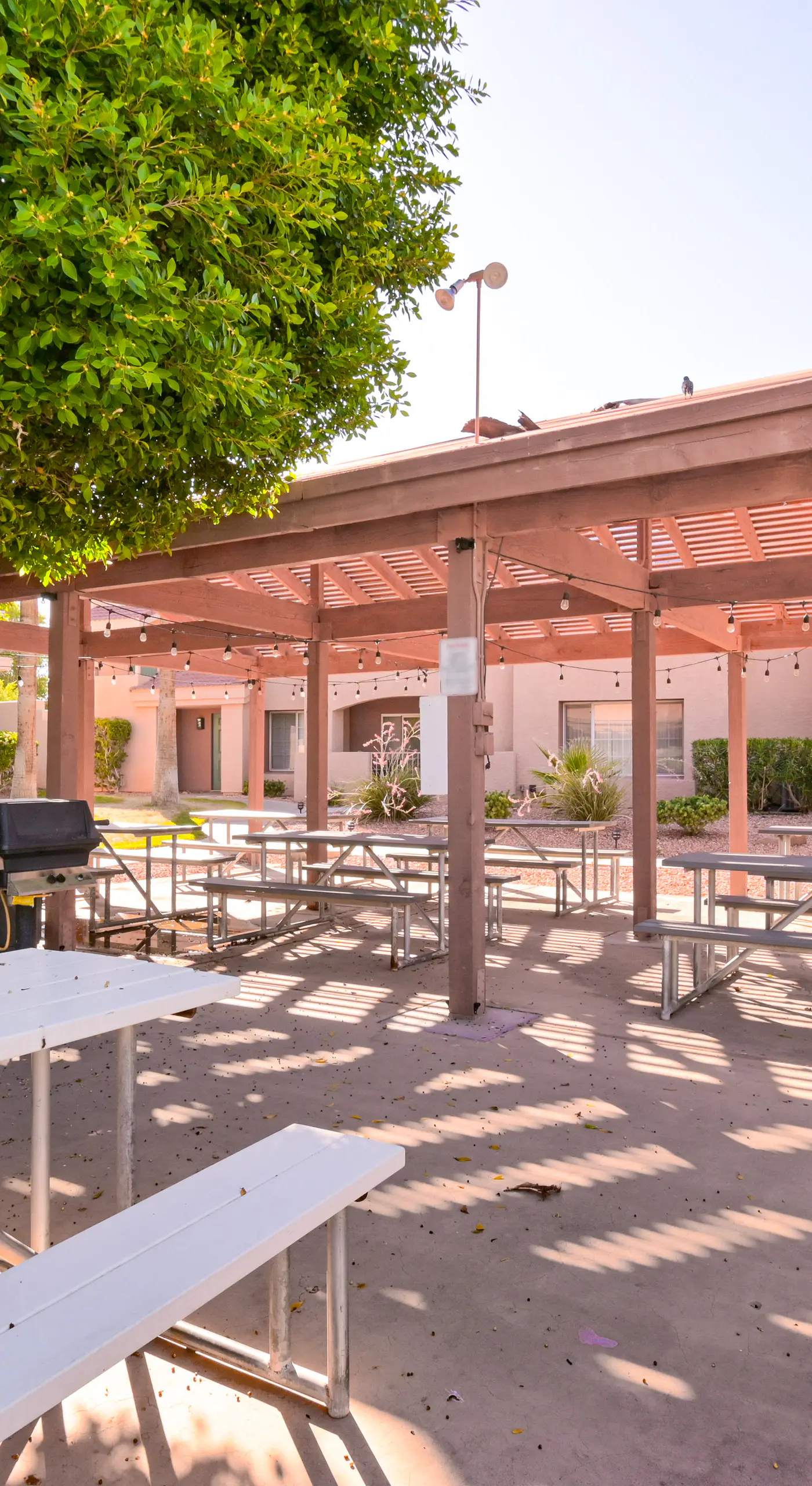 Patio & Pool Access: Lake Havasu City Gem