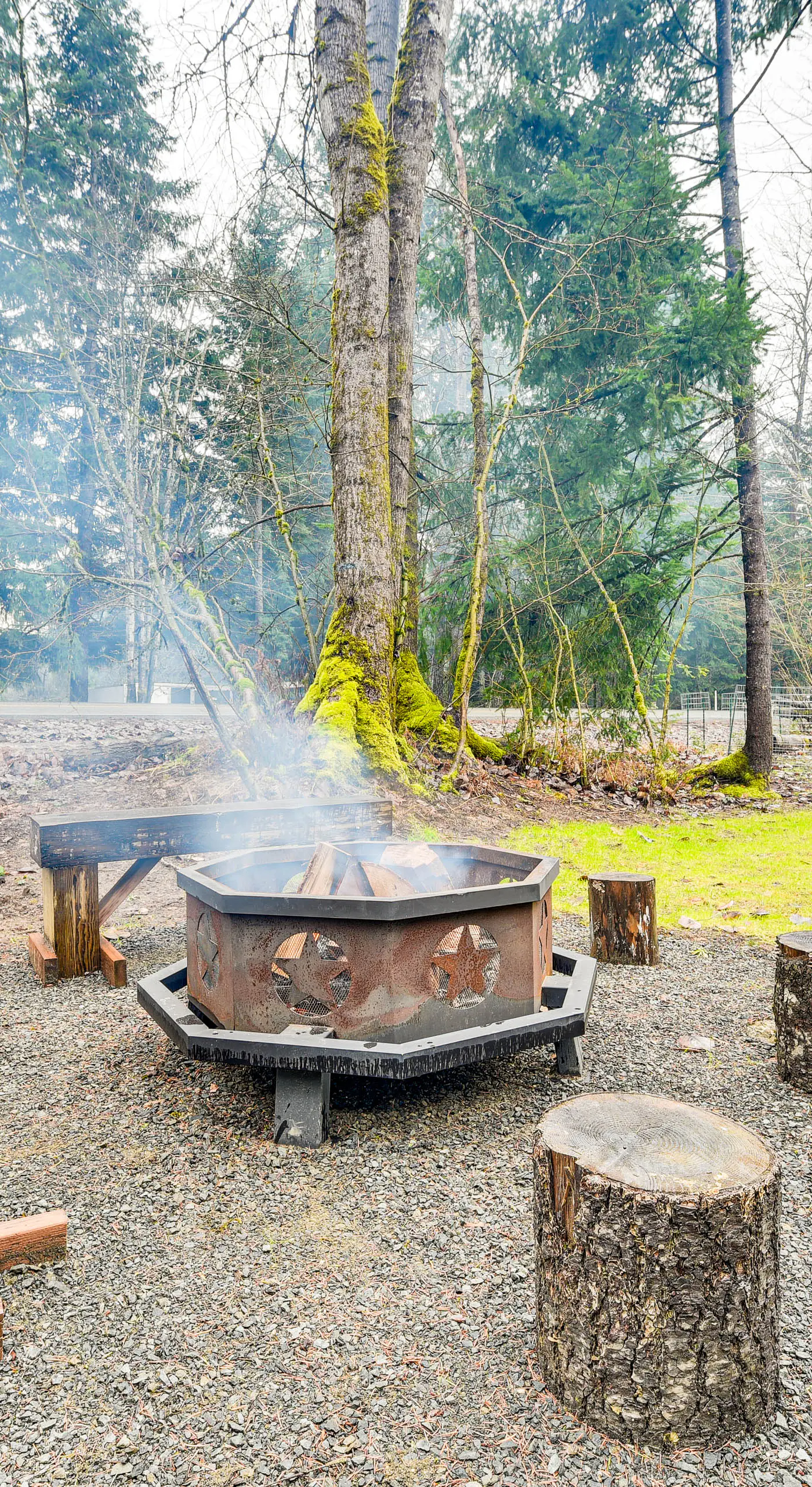 Family-Friendly Packwood Retreat w/ Deck!