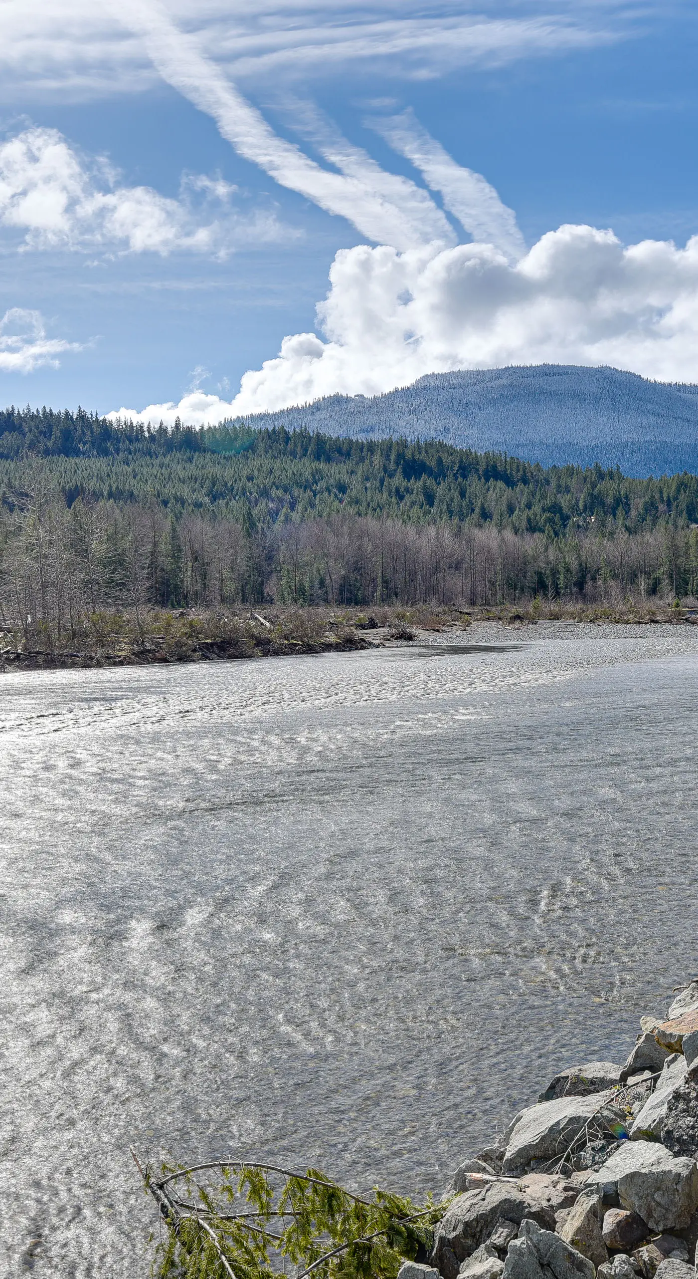 18 Mi to Mt Rainier! Scenic Cowlitz River Escape