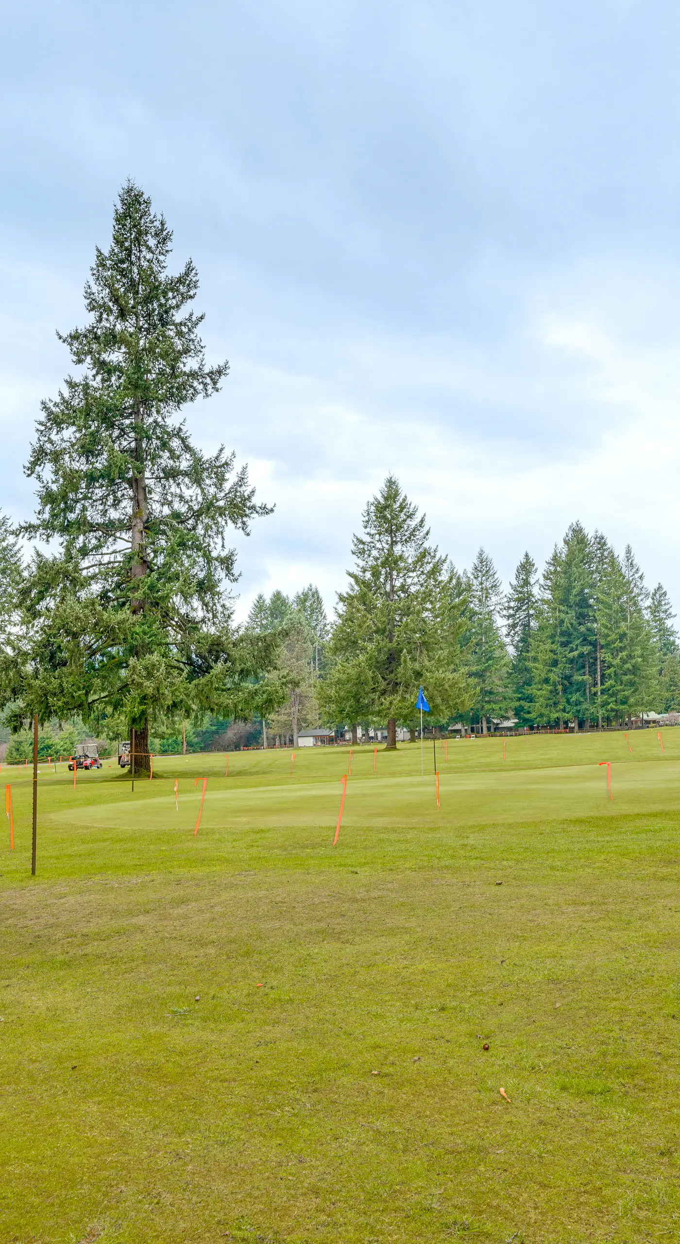 Ski, Fish & Explore: Packwood Home w/ Hot Tub!