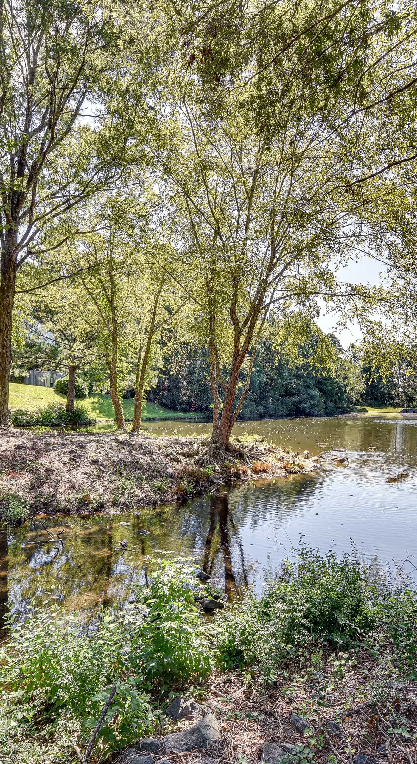 Charlotte Townhome w/ Deck: 18 Mi to Downtown!