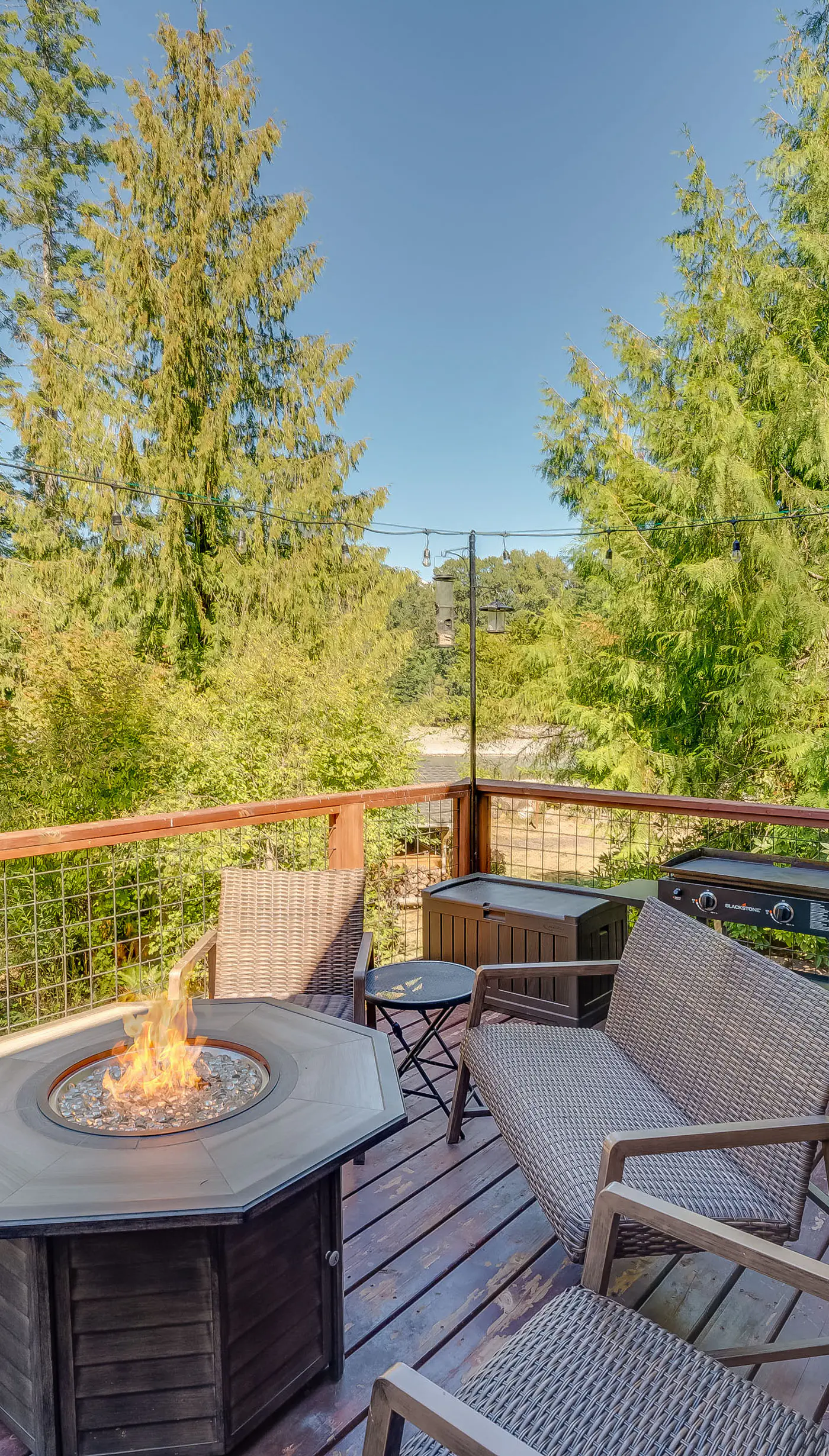 Spacious Packwood Cabin w/ Hot Tub - Near River
