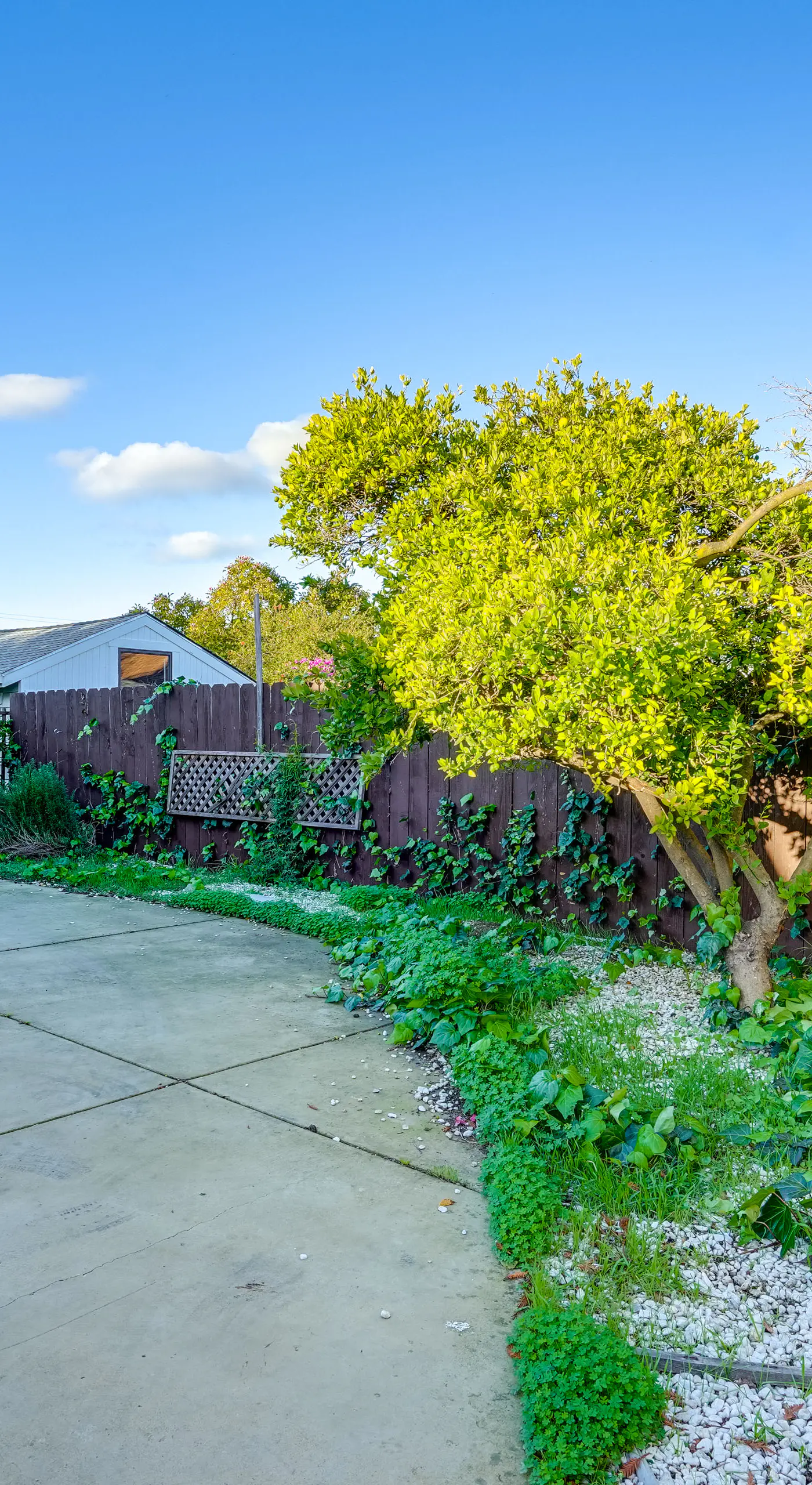 5 Mi to Jack London Square: Apt w/ Shared Yard