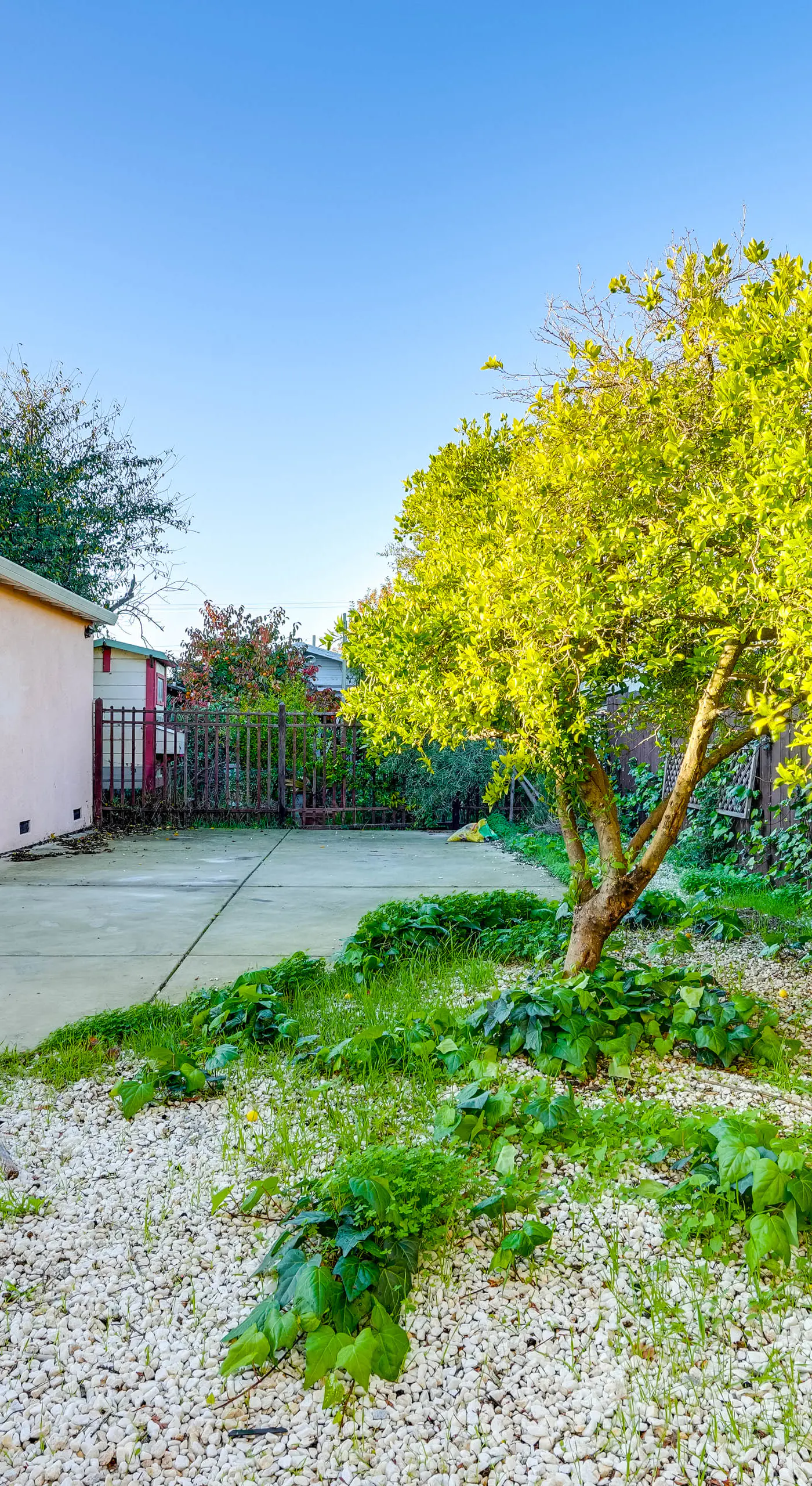 5 Mi to Jack London Square: Apt w/ Shared Yard