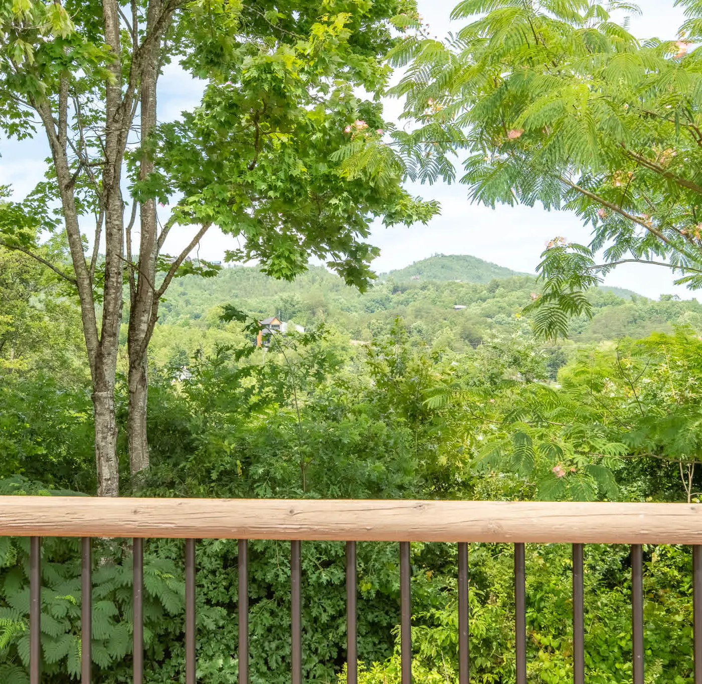 Pet Welcome Cabin, Hot Tub, Game Room, Near Dollywood