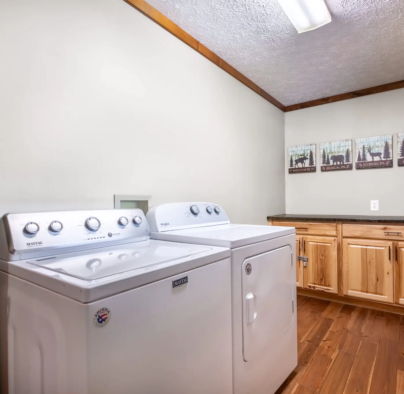Pet Welcome Cabin, Hot Tub, Game Room, Near Dollywood