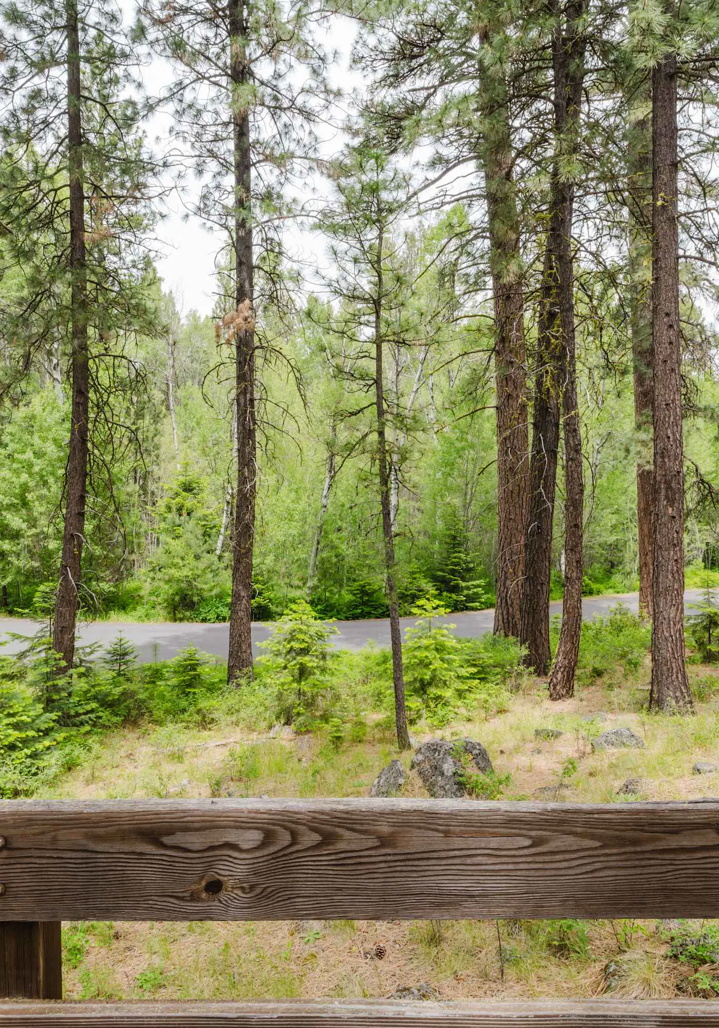 Black Butte Retreat w Resort Amenities, Near Hiking and Bike Trails