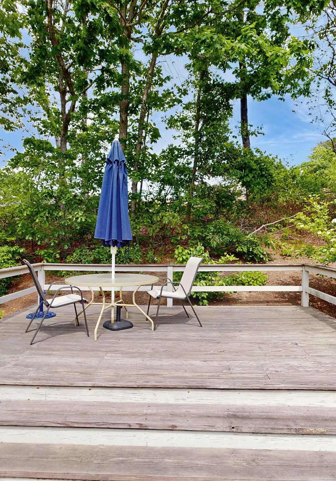 Charming Dog Friendly North Chatham Ranch