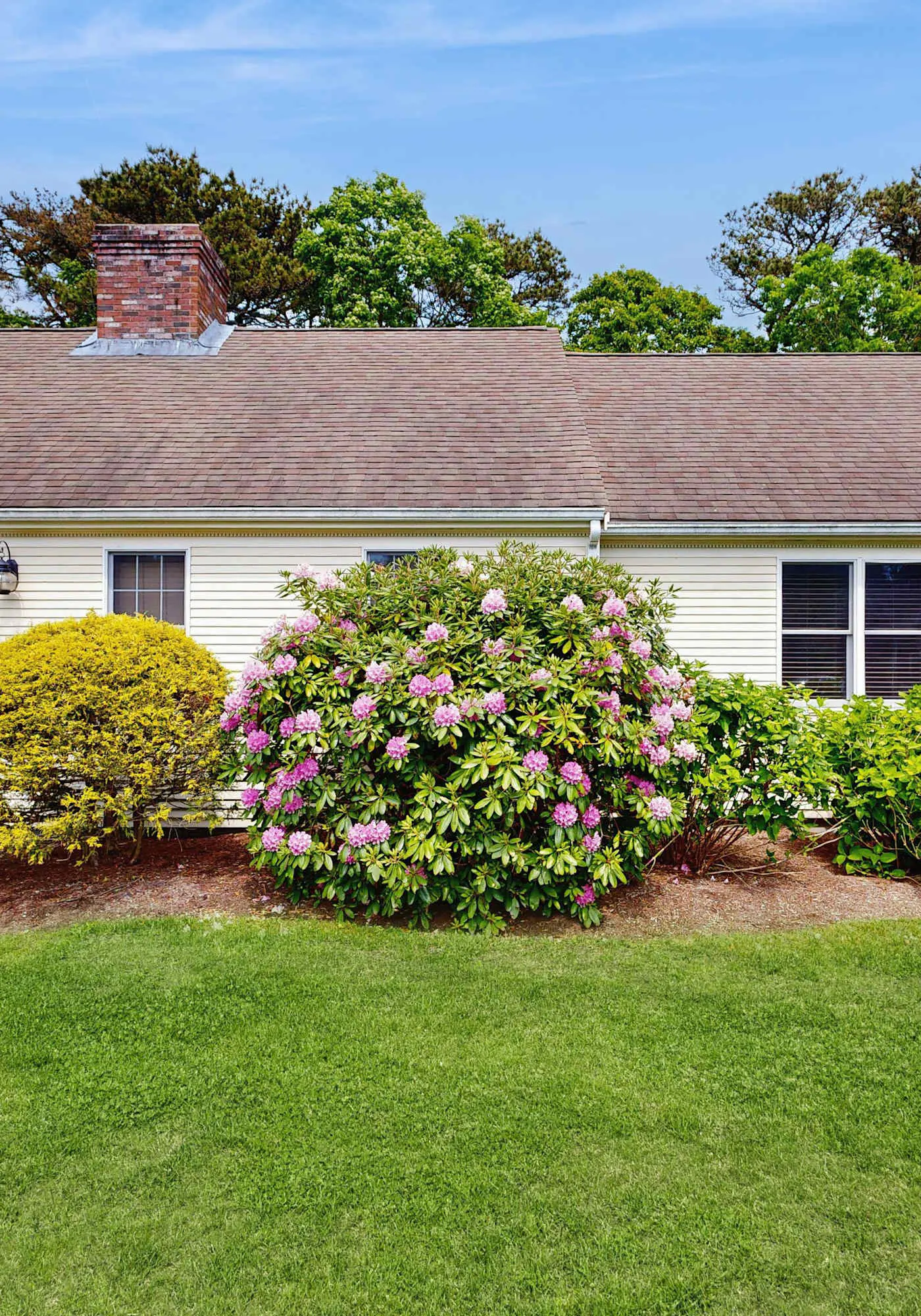 Charming Dog Friendly North Chatham Ranch
