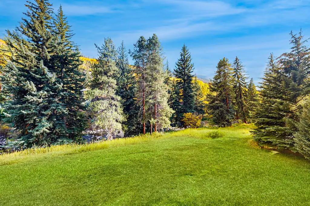 Spruce Creekside