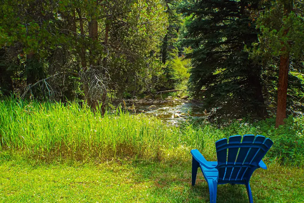 Spruce Creekside