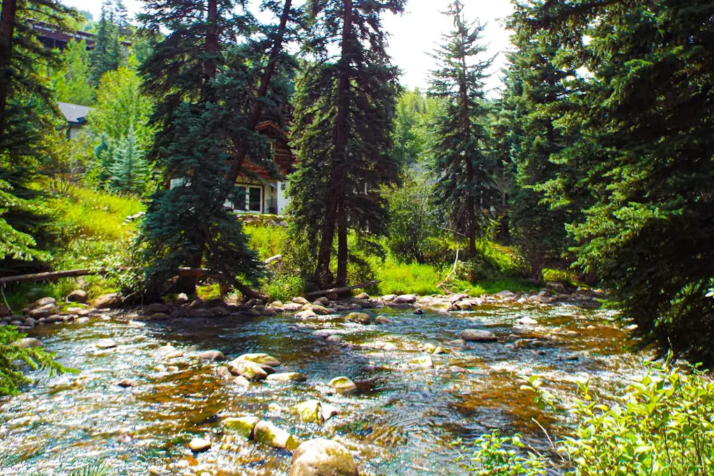 Spruce Creekside