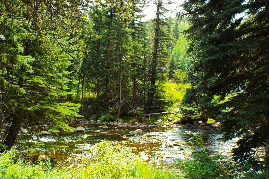 Spruce Creekside