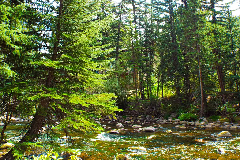 Spruce Creekside