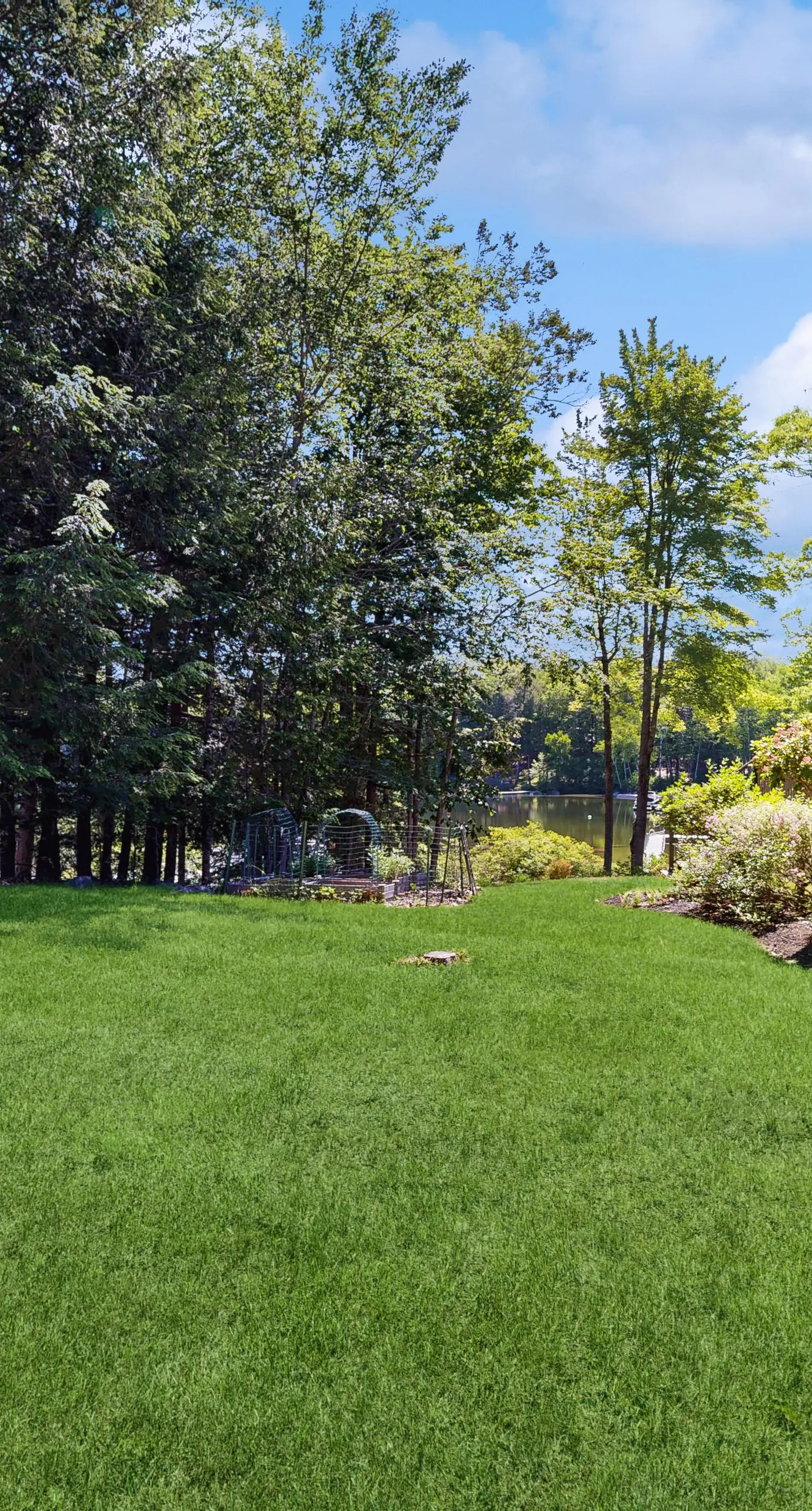 Blueberry Point