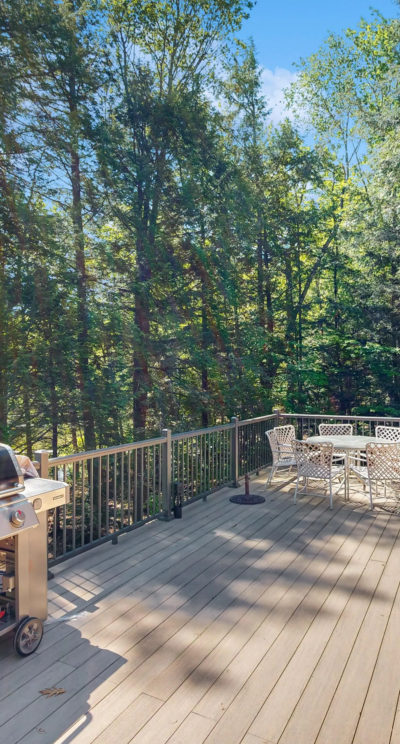 Blueberry Point