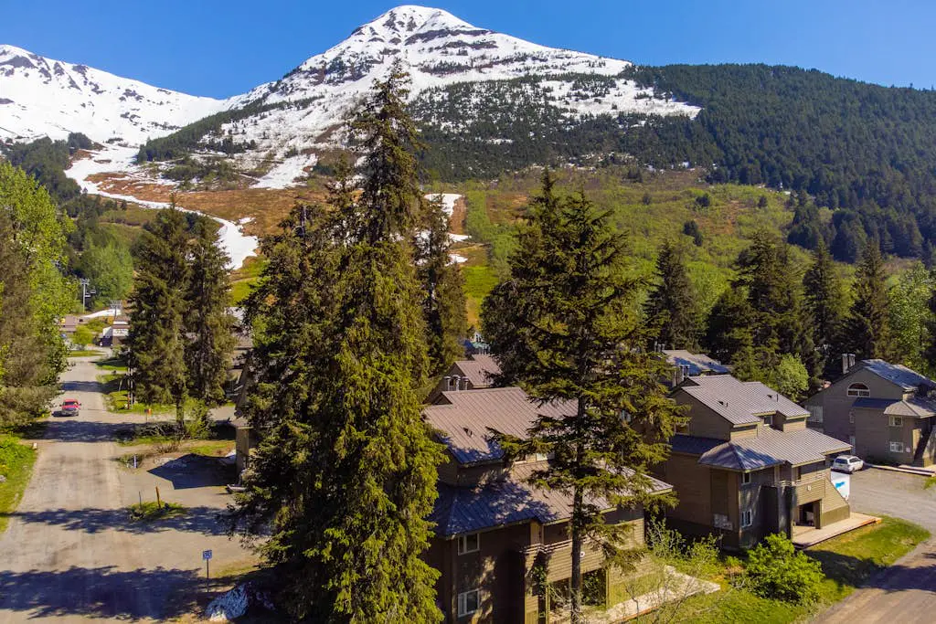 Snowbird Condo 195