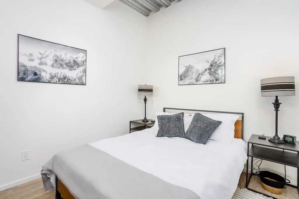 Downtown Contemporary - Full Property
