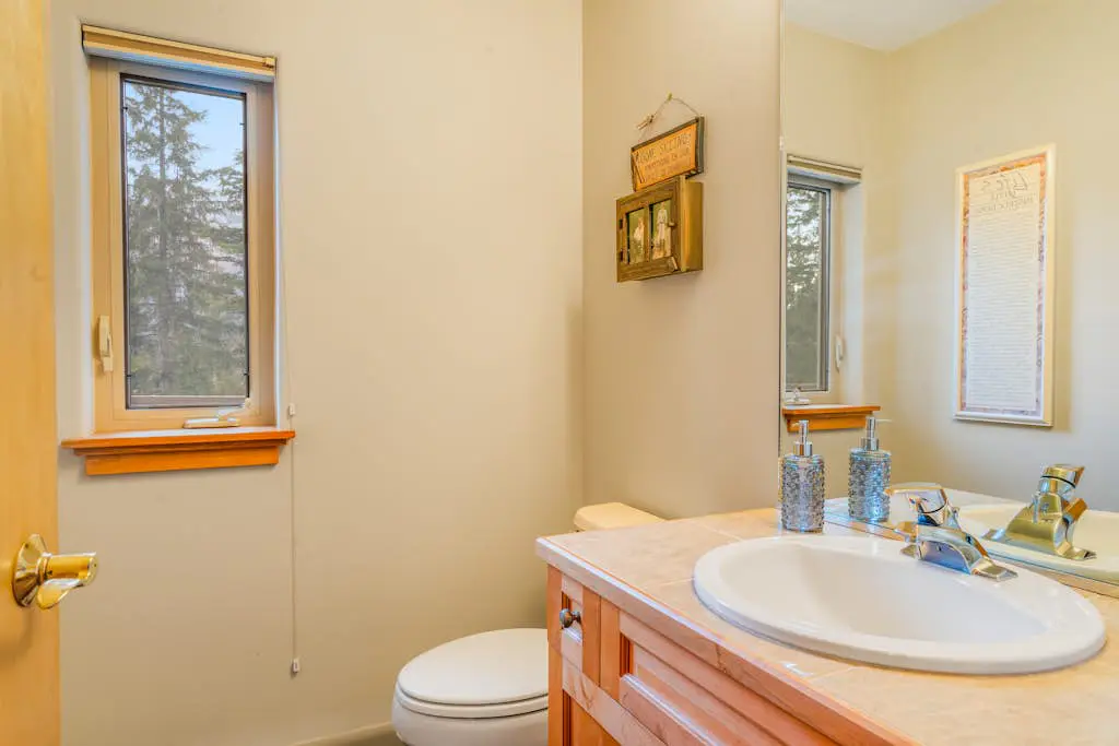 Girdwood Mountain Chateau