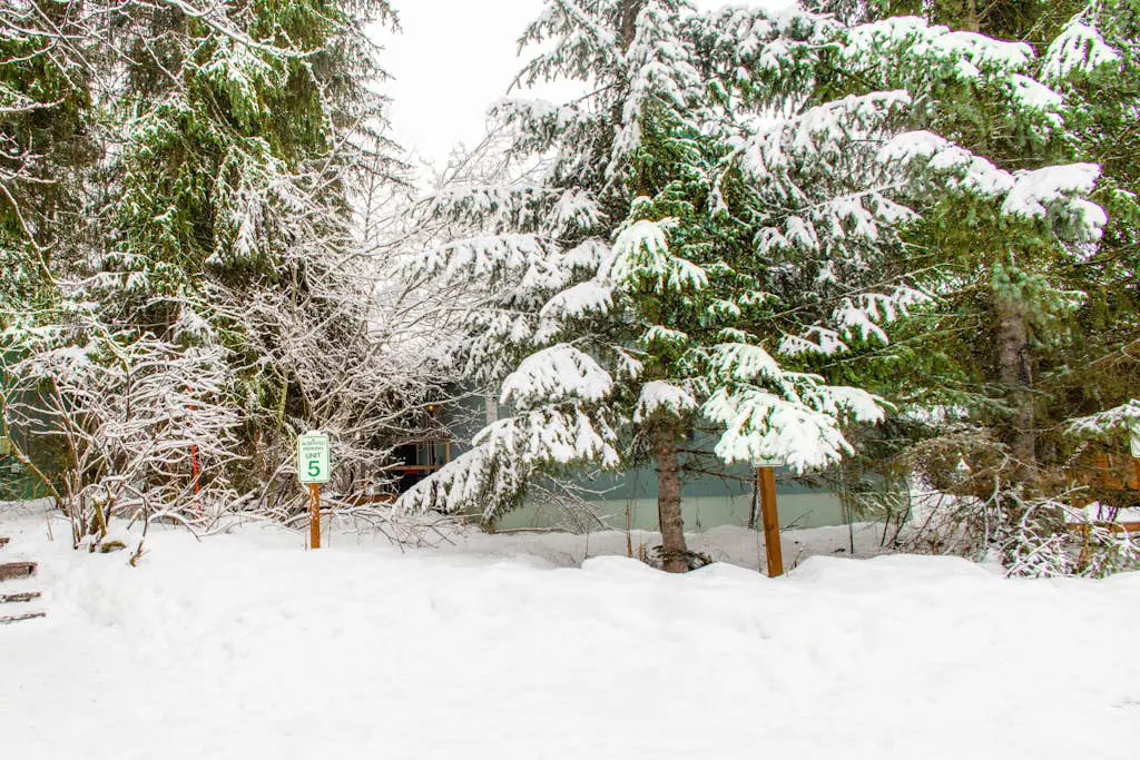 Snowbird Chalet #5