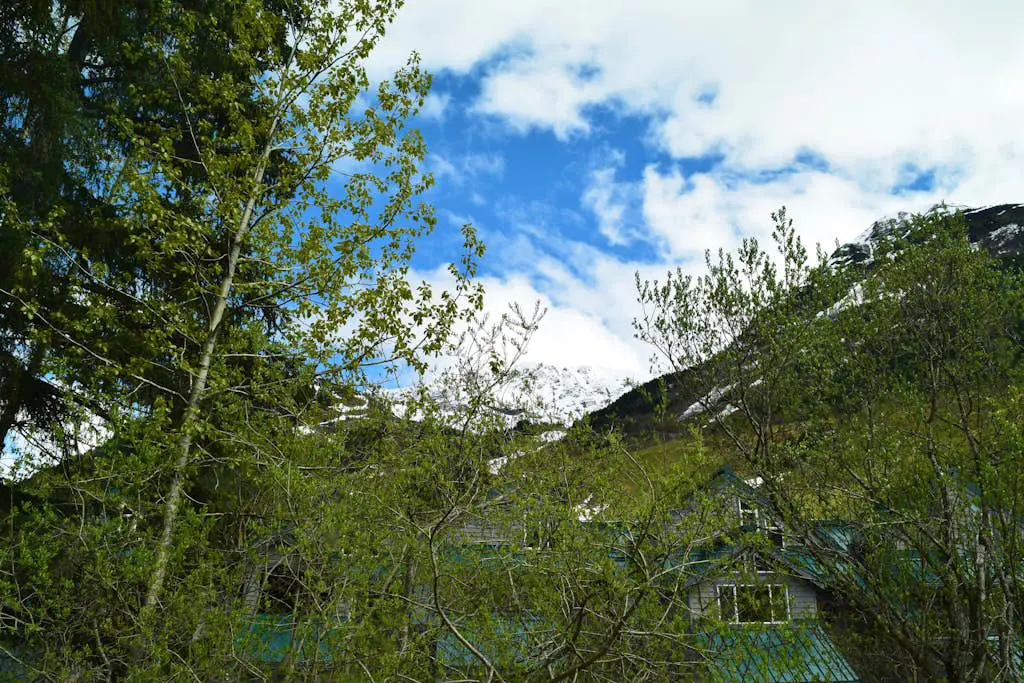 Snowbird Chalet #5