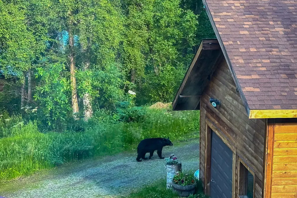 Eagle River Retreat