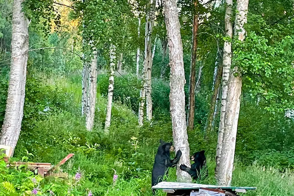 Eagle River Retreat