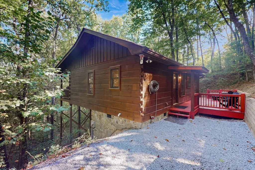 Honey Bear Hideout