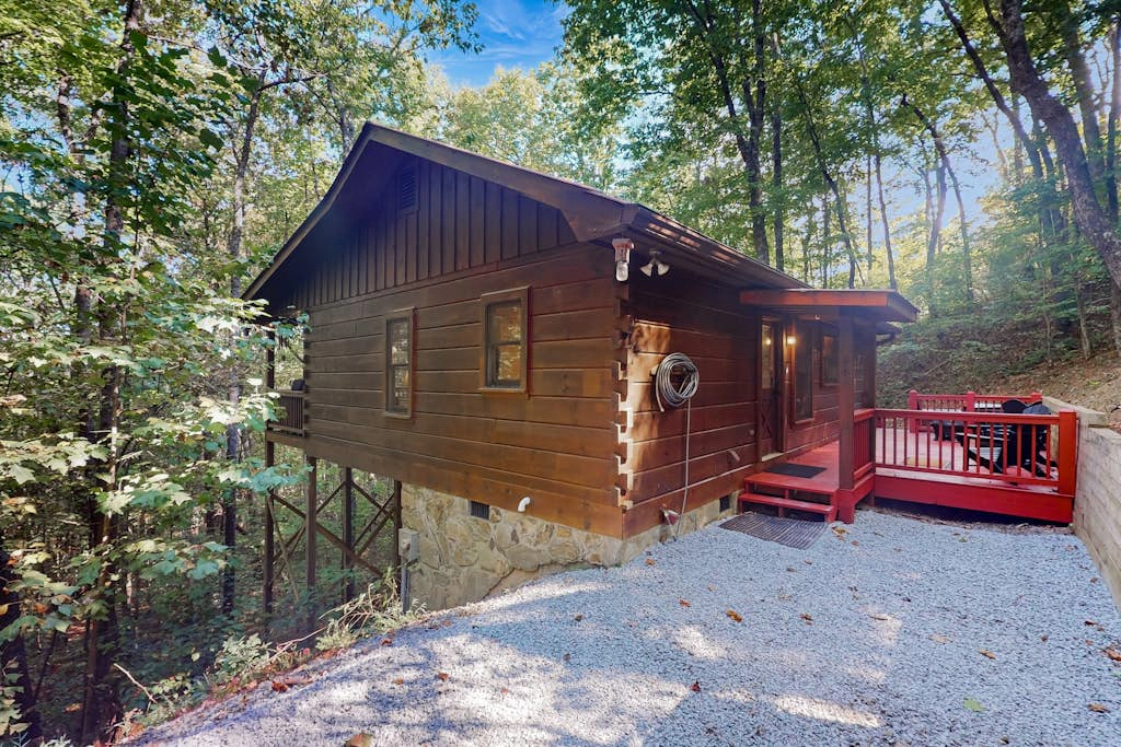 Honey Bear Hideout