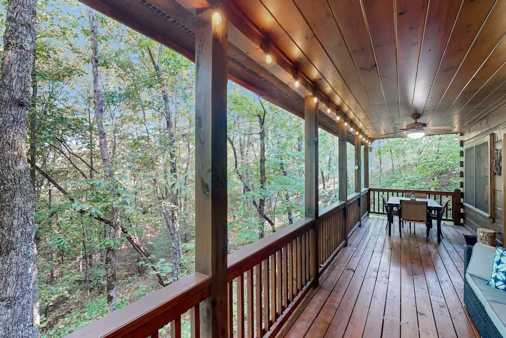 Honey Bear Hideout