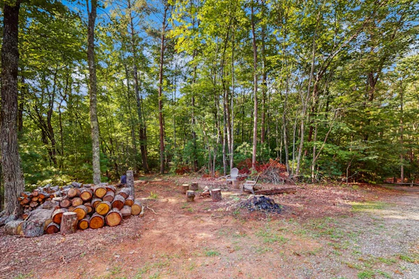 Dog-friendly cabin with wraparound deck, outdoor firepit, & game room