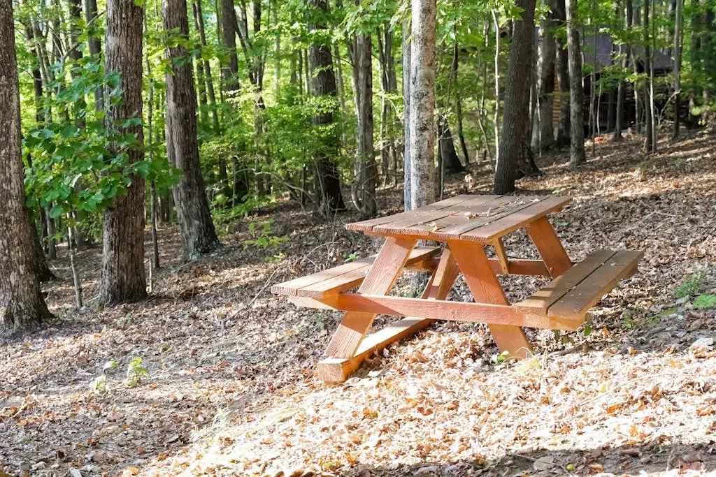 Amazing Grace - Mountain Retreat