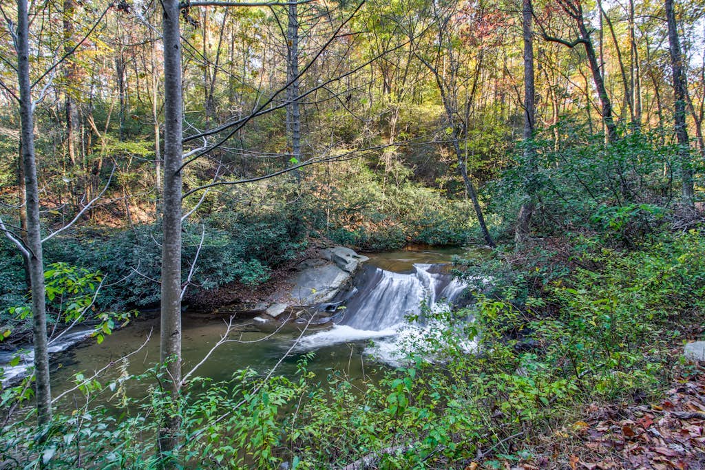 Dog-friendly creekfront cabin on 2.5 wooded acres with game room, screened porch