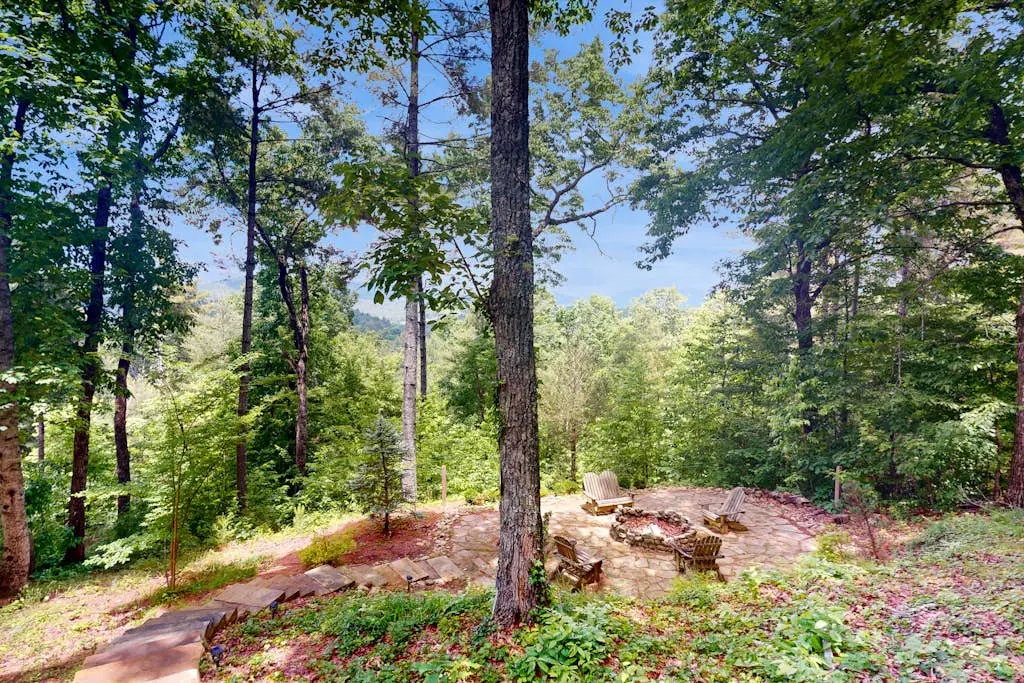 Hawk Hollow