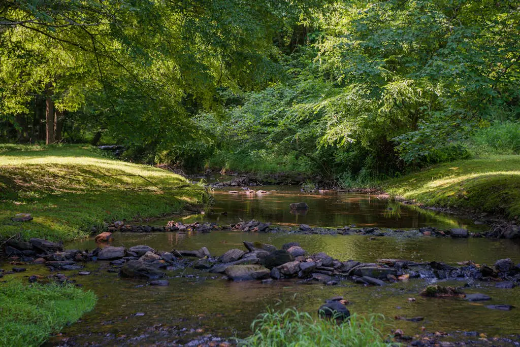Fox Hollow