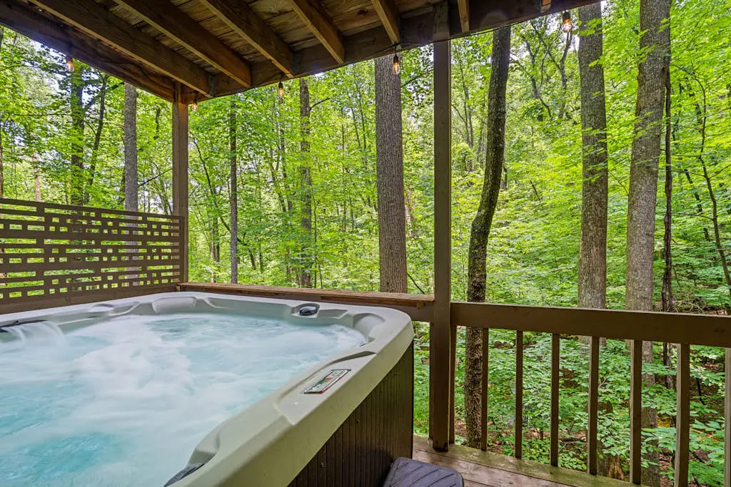 The Treehouse Lodge