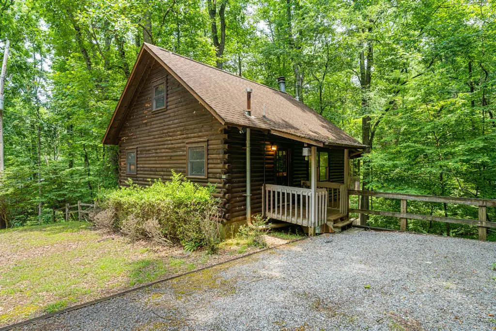 The Treehouse Lodge