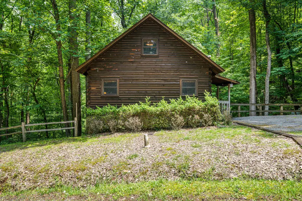 The Treehouse Lodge