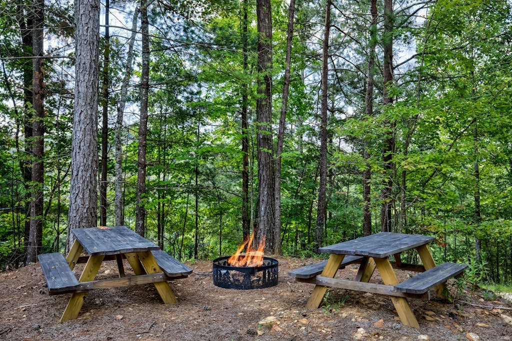 Coosawattee River Resort cabin with fireplaces, Ping-Pong, washer/dryer, & WiFi