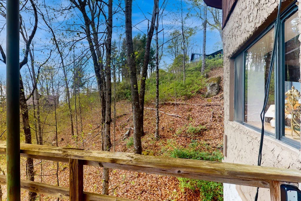 Snowbird-friendly cabin with amazing mountain views, porch & central AC