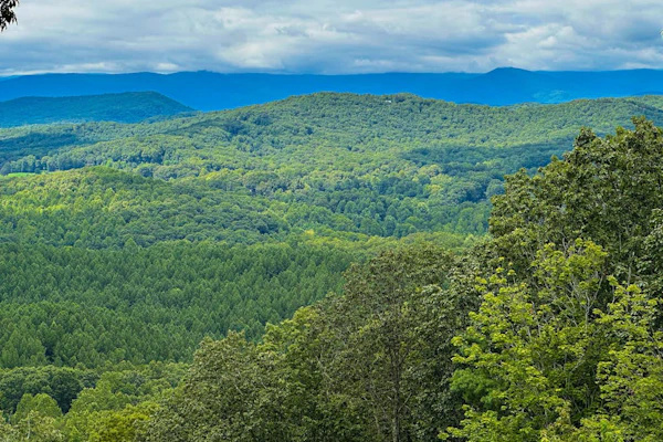 Escape for Two—Book Your Cozy Mountain Retreat with Firepit & Wi-Fi.