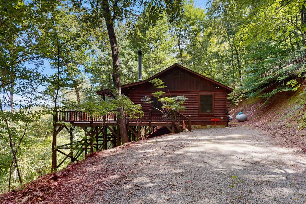 Bearly Connected Cabin
