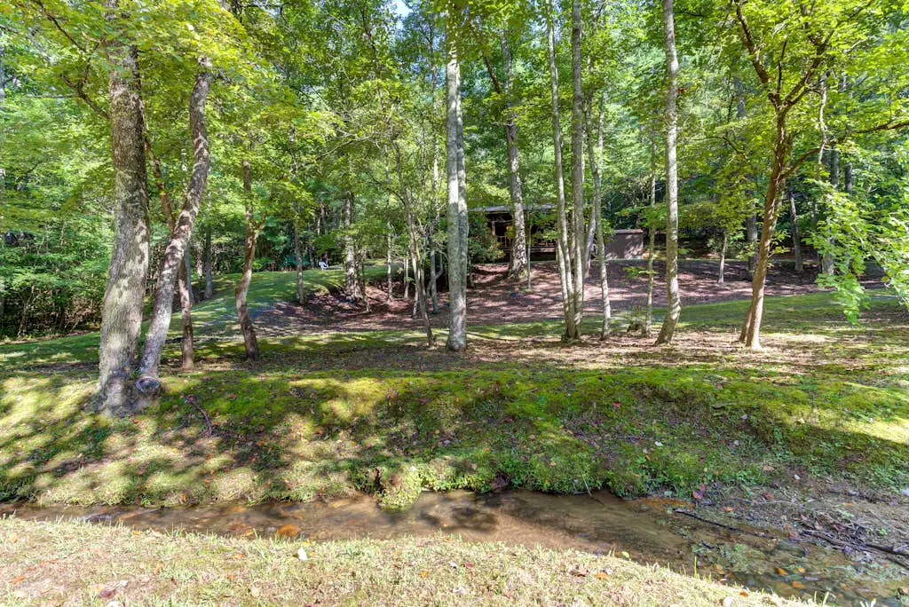 Moss Creek Cabin