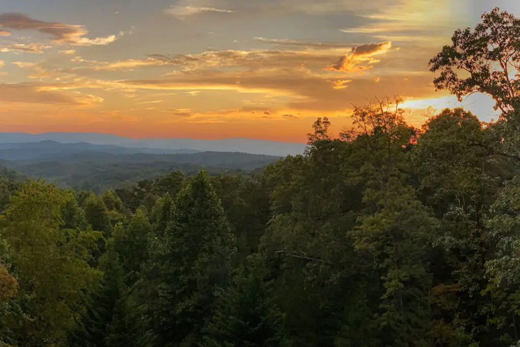 Endless Views