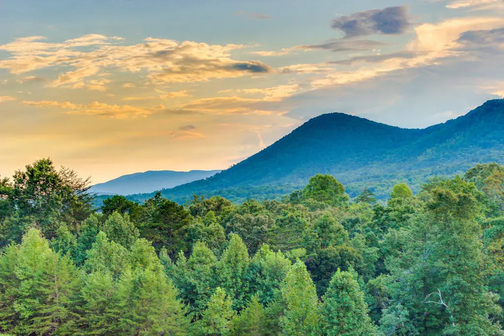 Alpine Retreat