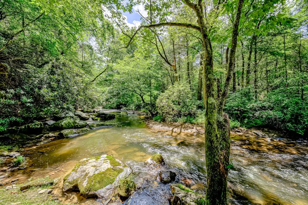 Creekside Retreat