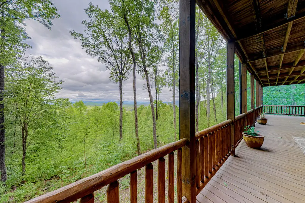 Black Bear View